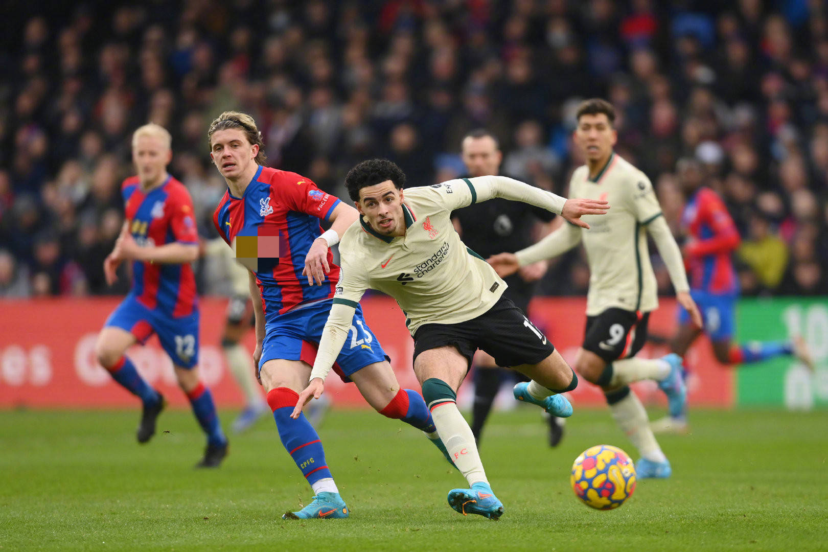 他们在面对 他们在面对